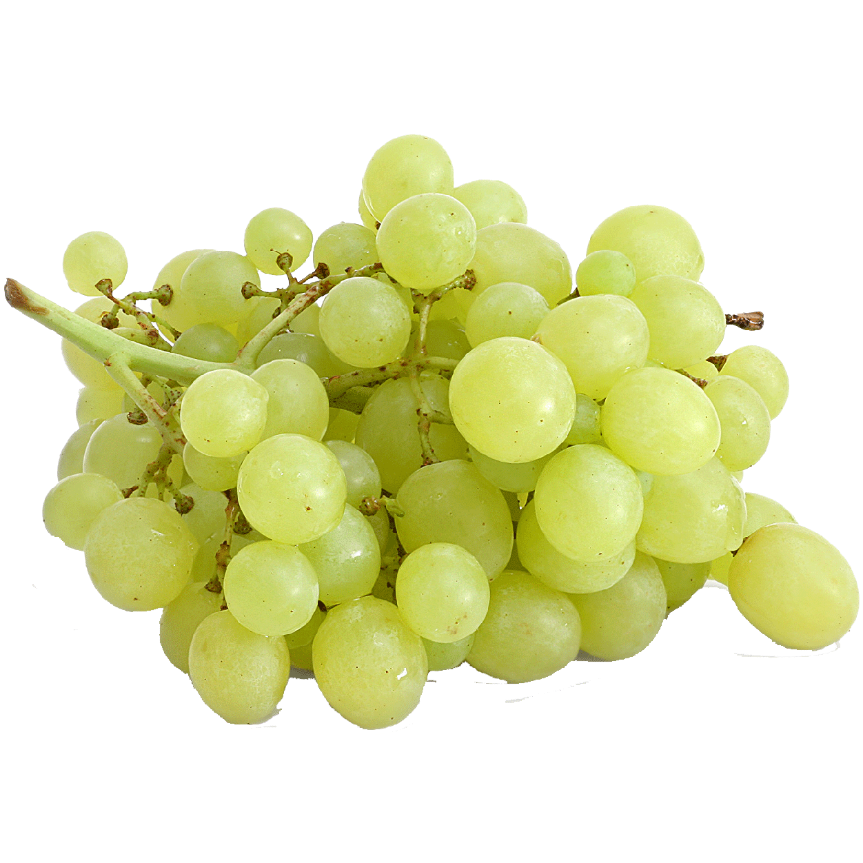 Organic Seedless Thompson Green Grapes, 1 lb