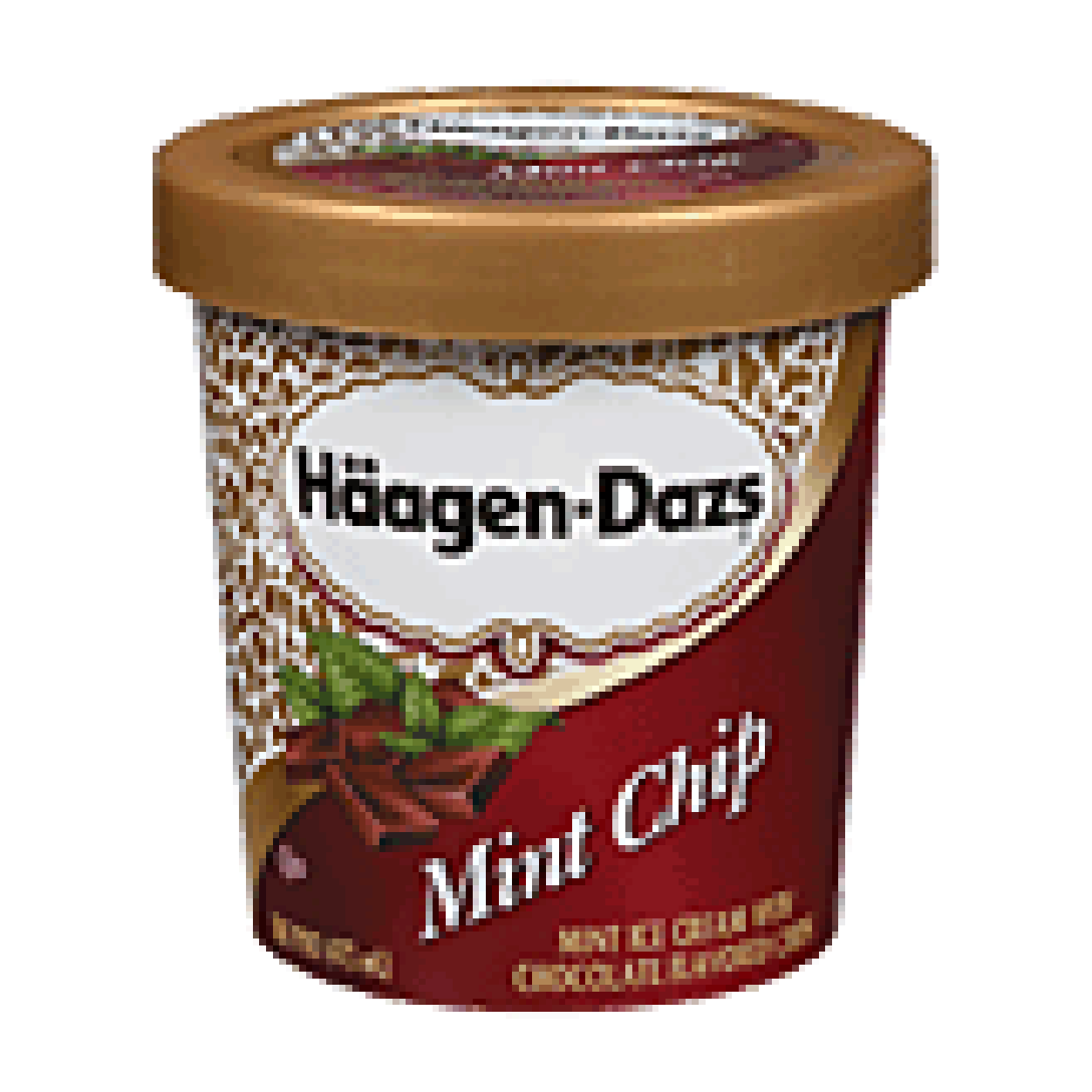 Indulge In The Refreshing Delight Of Haagen-Dazs Mint Chip