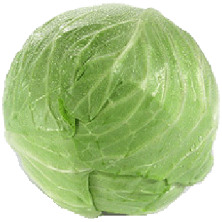 Value Center Market  green cabbage head, price per pound  1lb