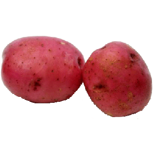 Value Center Market  red potato, price per pound 1lb