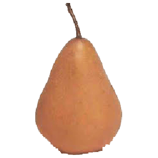 Copefrut  posc pear per pound  1lb