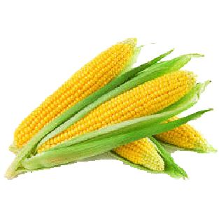 whole ear corn
