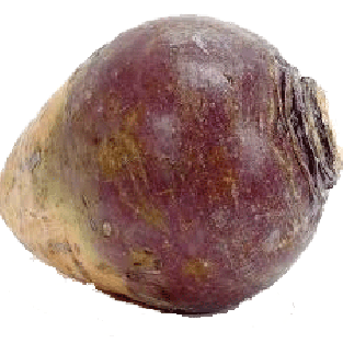 Value Center Market  whole rutabaga per pound 1ct