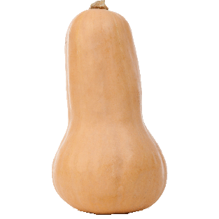 Value Center Market  butternut squash per pound 1lb