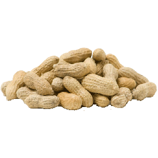 Value Center Market  peanuts in-shell, price per pound 1lb