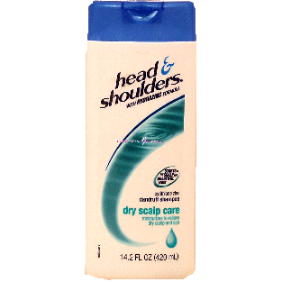 Head & Shoulders  dandruff shampoo, dry scalp care moisturize14.2fl oz