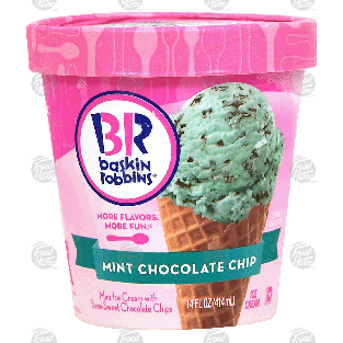Baskin 31 Robbins  mint chocolate chip ice cream 14-fl oz