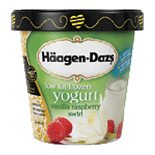 Haagen-Dazs Frozen Yogurt Vanilla Raspberry Swirl Low Fat 1-pt