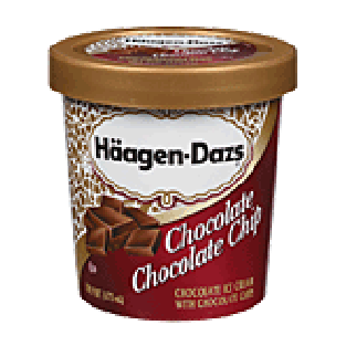 Haagen-Dazs Ice Cream Chocolate Chocolate Chip 1-pt