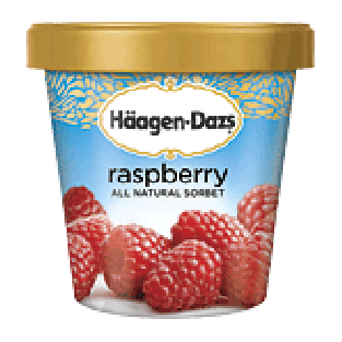 Haagen-Dazs Sorbet Raspberry Fat Free 1-pt