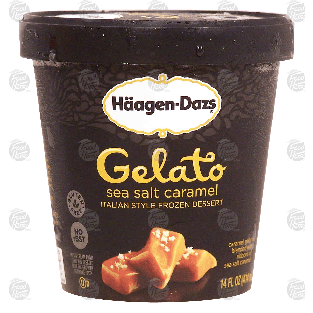 Haagen-Dazs Gelato sea salt caramel italian style frozen desse14-fl oz