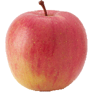 Rainier  fuji apples, price per pound 1lb