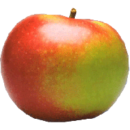Value Center Market  mcintosh apples, price per pound 1lb
