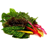 Bright Lights  swiss chard by the pound 1lb