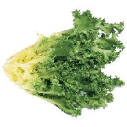 Value Center Market  curly endive lettuce head, price per pound 1lb