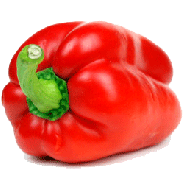 Suntastic  whole red pepper 1ct