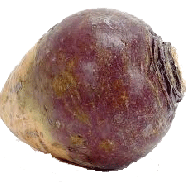Value Center Market  whole rutabaga per pound 1ct