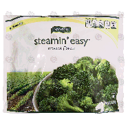 Spartan steamin' easy broccoli florets 12-oz