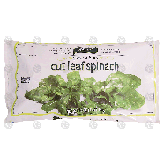 Spartan  cut leaf spinach 16-oz