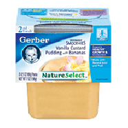 Gerber 2nd Foods Baby Food Vanilla Custard Pudding 3.5 Oz 2pk