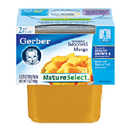 Gerber 2nd Foods Baby Food Mango Dessert 3.5 Oz 2pk