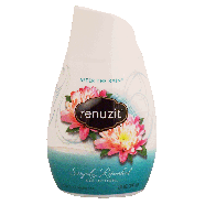 Renuzit Air Freshener After The Rain Long Last Adjustable 7oz