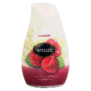 Renuzit Air Freshener Raspberry Long Last Adjustable 7oz