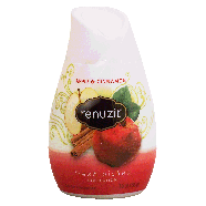 Renuzit Air Freshener Apple & Cinnamon Long Last Adjustable 7oz