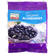 Earthbound Farm Organic organic blueberries 10-oz