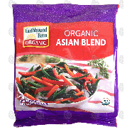 Earthbound Farm Organic organic asian blend 9-oz