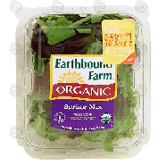 Earthbound Farm Organic spring mix salad, melange de printemps, tri5oz