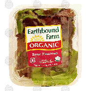 Earthbound Farm Organic baby romaine salad 5oz