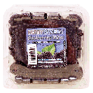 Fresh Harvest  blackberries - mures 6oz