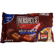 Hershey's Special Dark miniatures; mildly sweet assorted small can 11oz