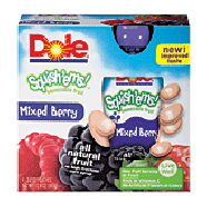 Dole Fruit Squish'ems! apple mixed berry squeezable fruit pouch,12.8oz