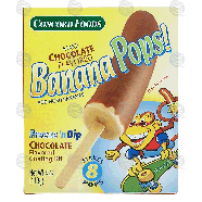 Concord Foods Freeze 'n Dip chocolate flavored banana pops coating 4oz