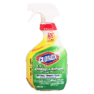 Clorox Clean-Up cleaner with bleach  32fl oz