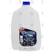 Absopure  natural spring water 1-gal