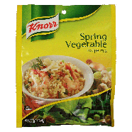 Knorr Recipe Mix Spring Vegetable 0.9oz