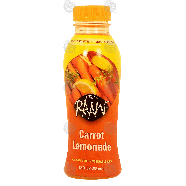 Raaw It Tastes carrot lemonade, 100% fruit & vegetable juice 12fl oz