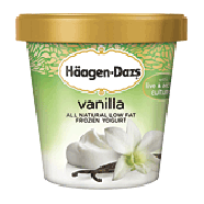 Haagen-Dazs Frozen Yogurt Vanilla Low Fat 1-pt