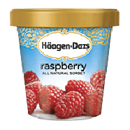 Haagen-Dazs Sorbet Raspberry Fat Free 1-pt