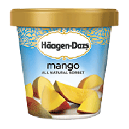 Haagen-Dazs Sorbet Mango Fat Free 1-pt