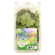 Michigan Fine Herbs  organic cilantro 0.75oz