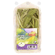 Michigan Fine Herbs  organic sage 0.75oz