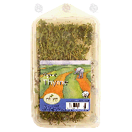 Michigan Fine Herbs  organic thyme 0.75oz
