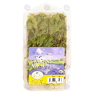 Michigan Fine Herbs  organic seafood medley, a blend of dill, it0.75oz