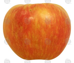 Holiday Market honey crisp whole fresh apple, price per pound 1 pound