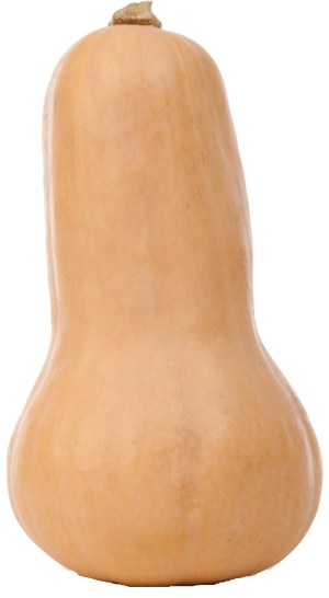 Holiday Market butternut squash per pound 1 pound