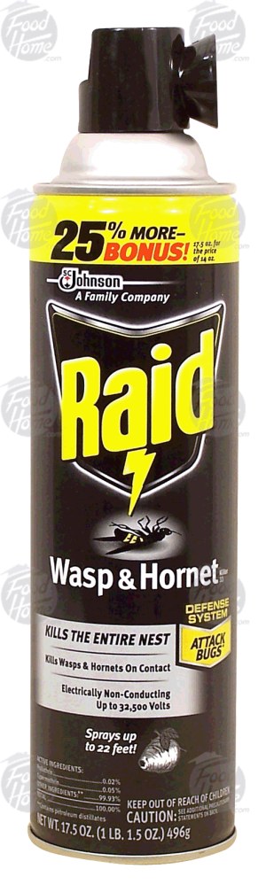 Raid wasp & hornet 17.5 ounce